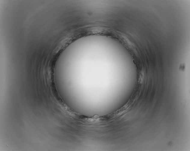 X0000092250524200709141008