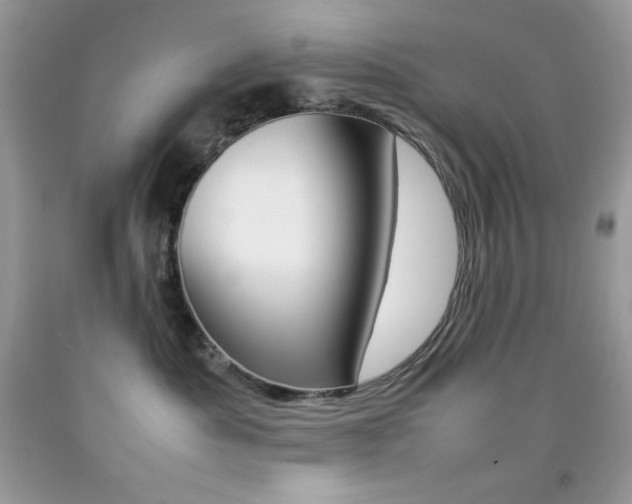 X0000092250525200709141008