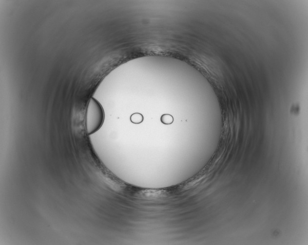 X0000092250526200709141008