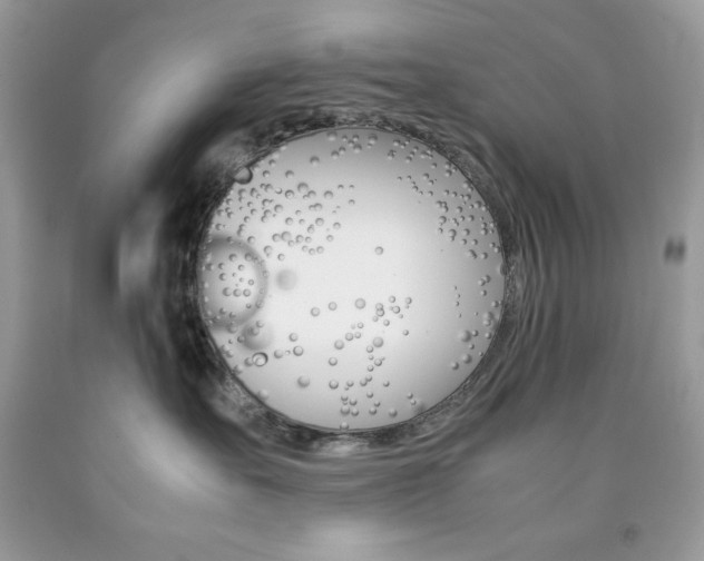 X0000092250527200709141008
