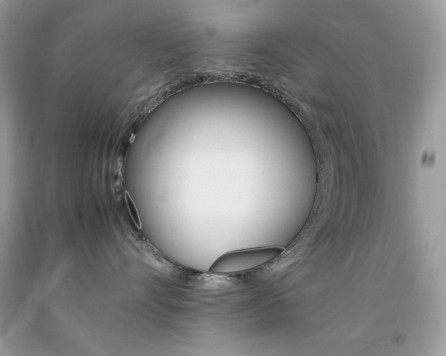 X0000092250528200709141008