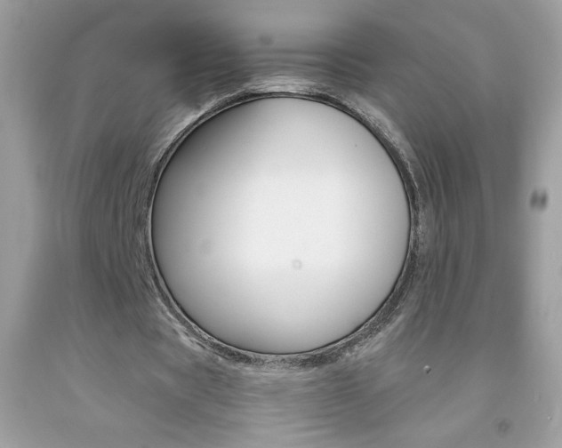 X0000092250529200709141007