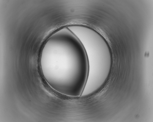 X0000092250530200709141007