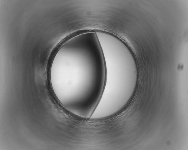 X0000092250532200709141007