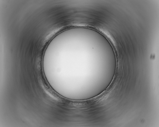 X0000092250533200709141007