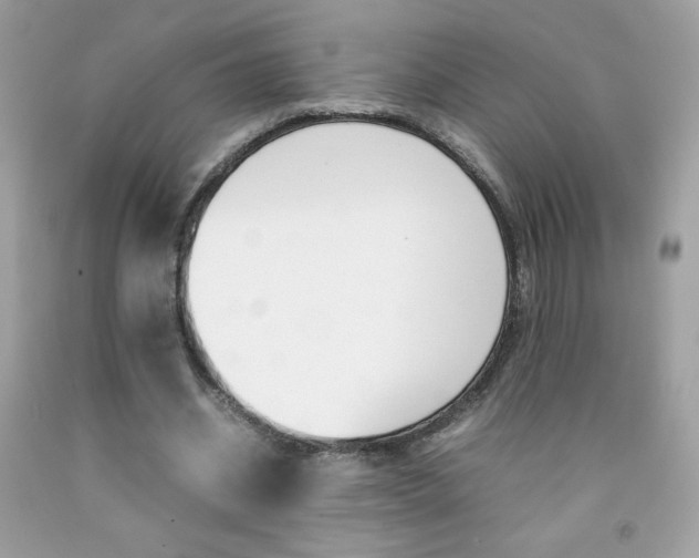 X0000092250534200709141007