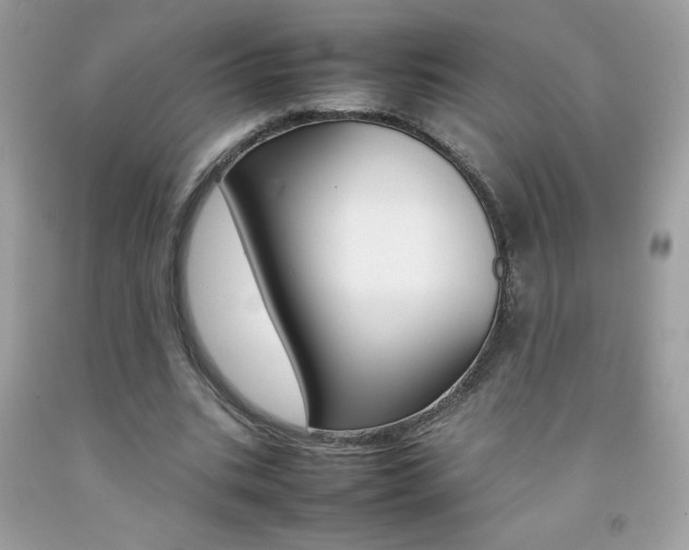 X0000092250535200709141007
