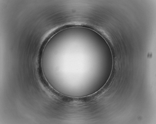X0000092250536200709141007