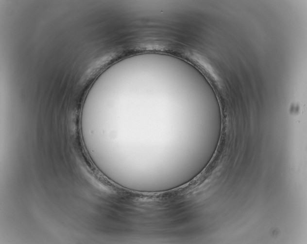 X0000092250537200709141007