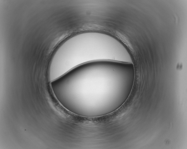 X0000092250538200709141007
