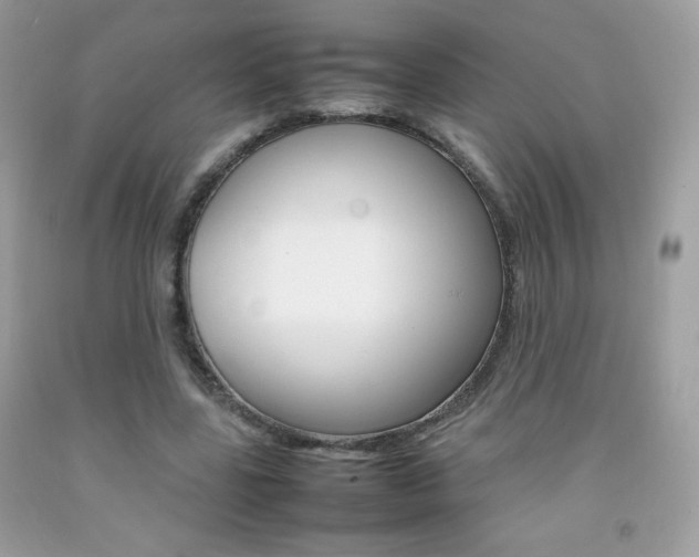 X0000092250539200709141007