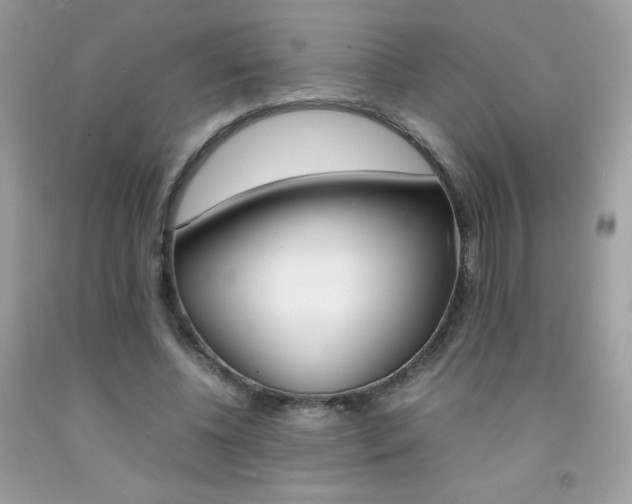 X0000092250540200709141007