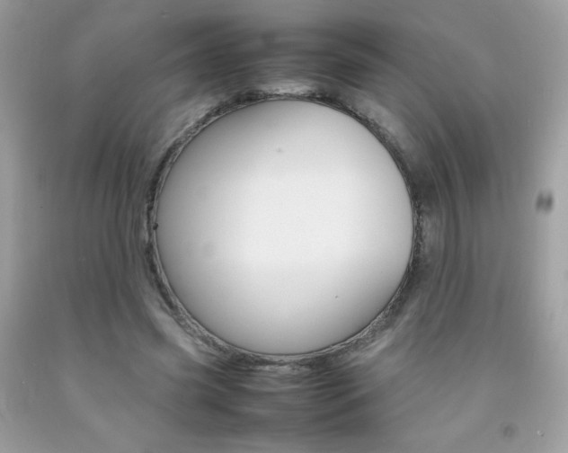 X0000092250541200709141007