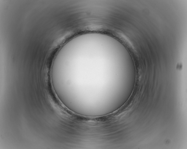 X0000092250542200709141007