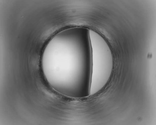 X0000092250544200709141007