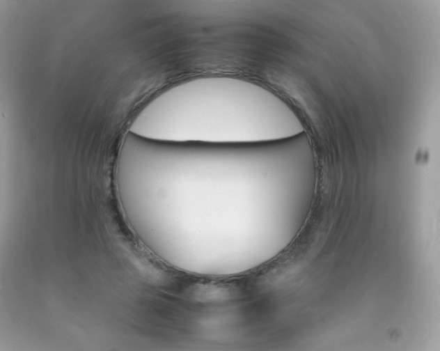X0000092250545200709141008
