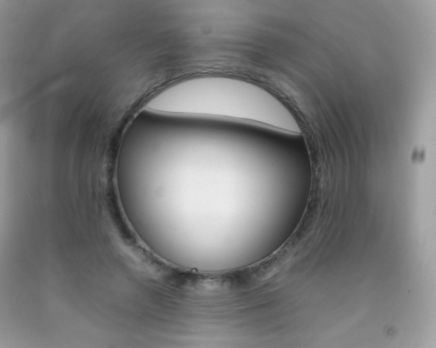 X0000092250546200709141008
