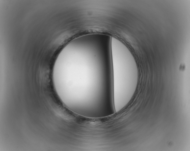X0000092250548200709141008