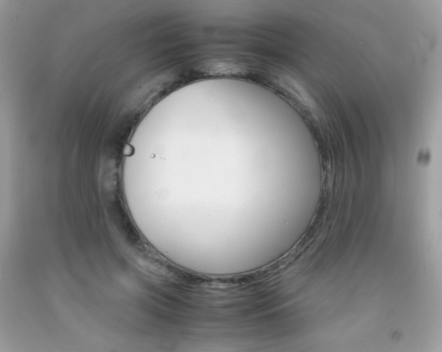 X0000092250549200709141008