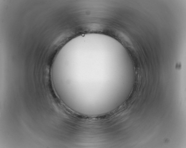 X0000092250550200709141008