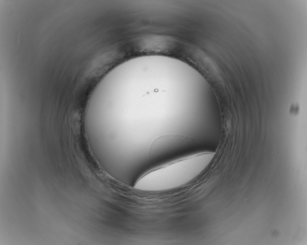 X0000092250551200709141008