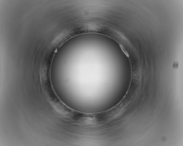 X0000092250552200709141008