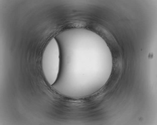 X0000092250553200709141008