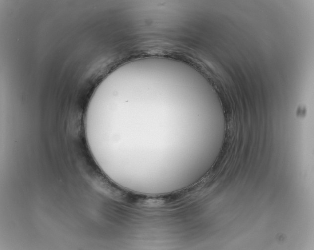 X0000092250554200709141008