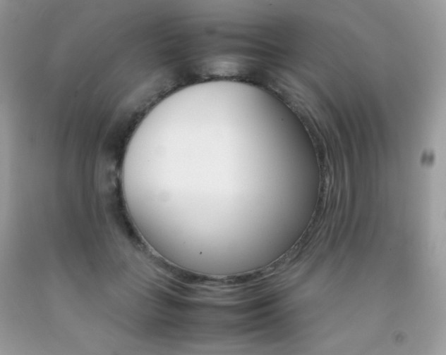 X0000092250555200709141008