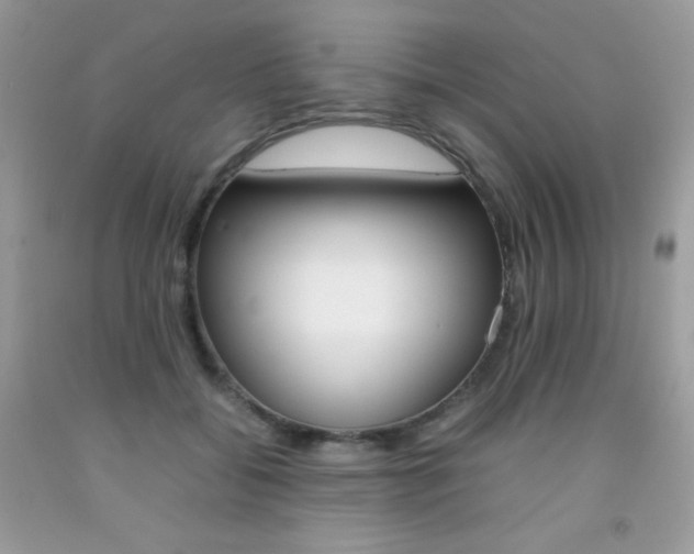 X0000092250556200709141008