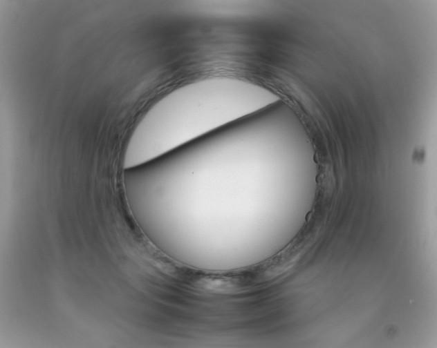 X0000092250557200709141008