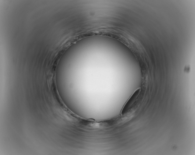 X0000092250558200709141008