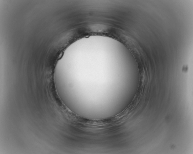 X0000092250559200709141008