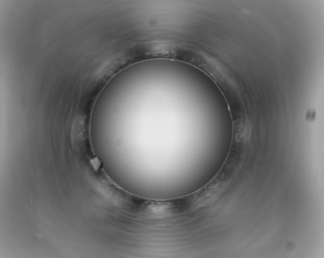 X0000092250560200709141008