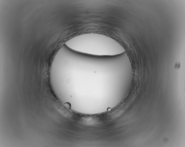 X0000092250561200709141008