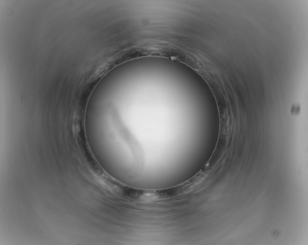 X0000092250562200709141008