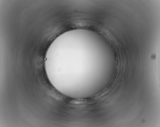X0000092250563200709141008