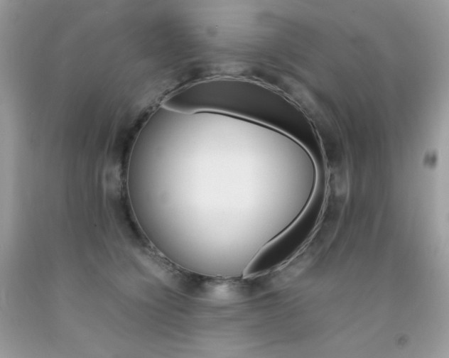 X0000092250564200709141008
