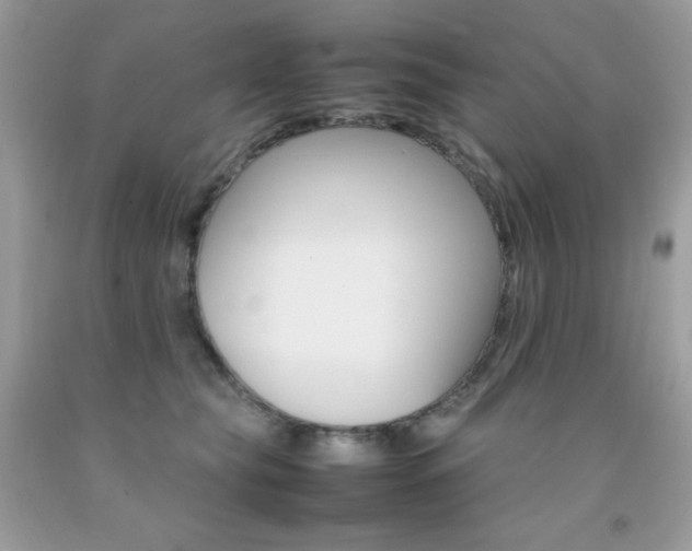 X0000092250565200709141008