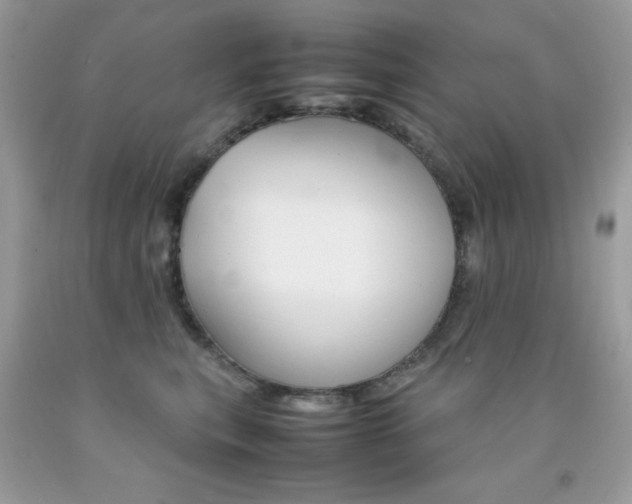 X0000092250567200709141008
