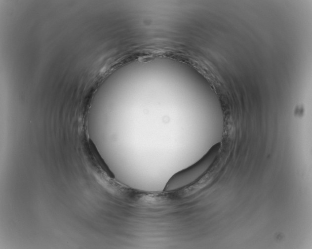 X0000092250568200709141008