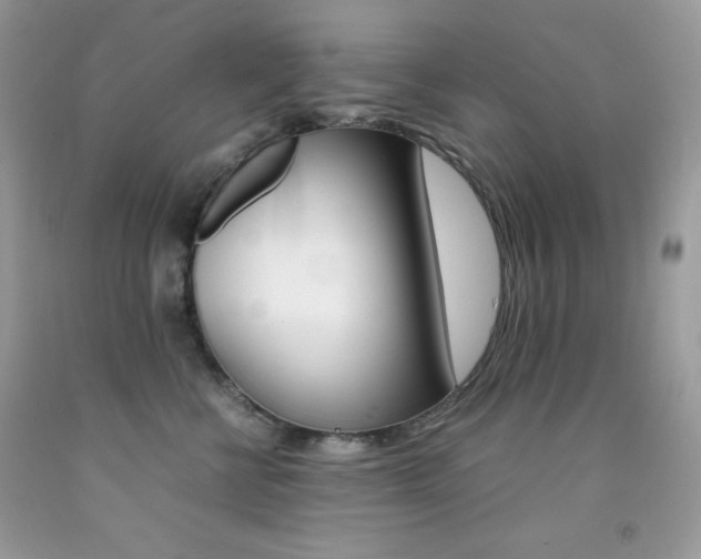 X0000092250570200709141008