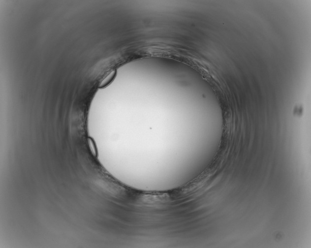 X0000092250571200709141008