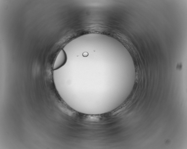 X0000092250573200709141008