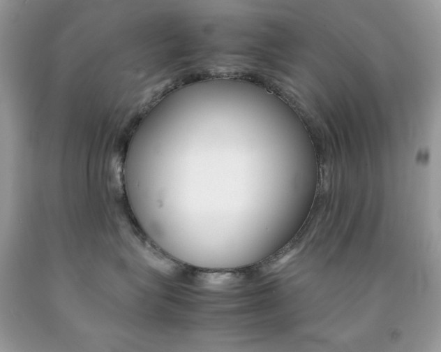 X0000092250575200709141008