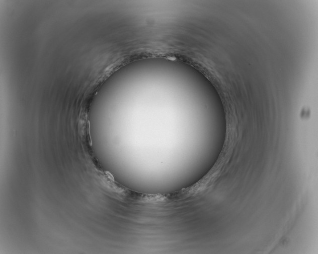 X0000092250576200709141008