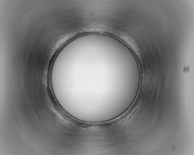 X0000092250578200709141007