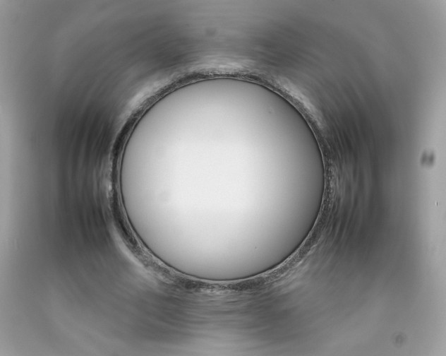 X0000092250582200709141007