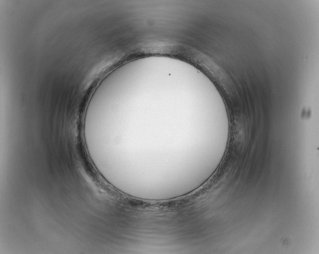 X0000092250586200709141007