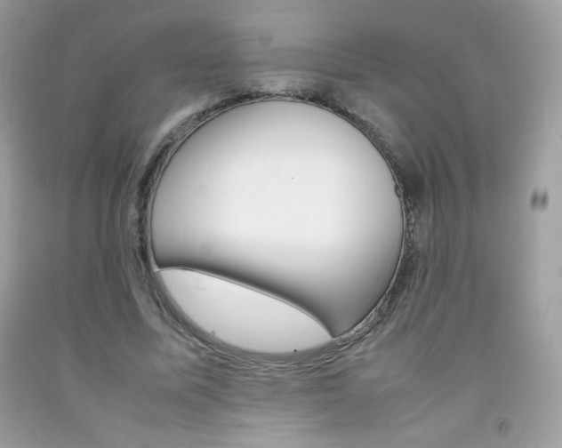 X0000092250587200709141007